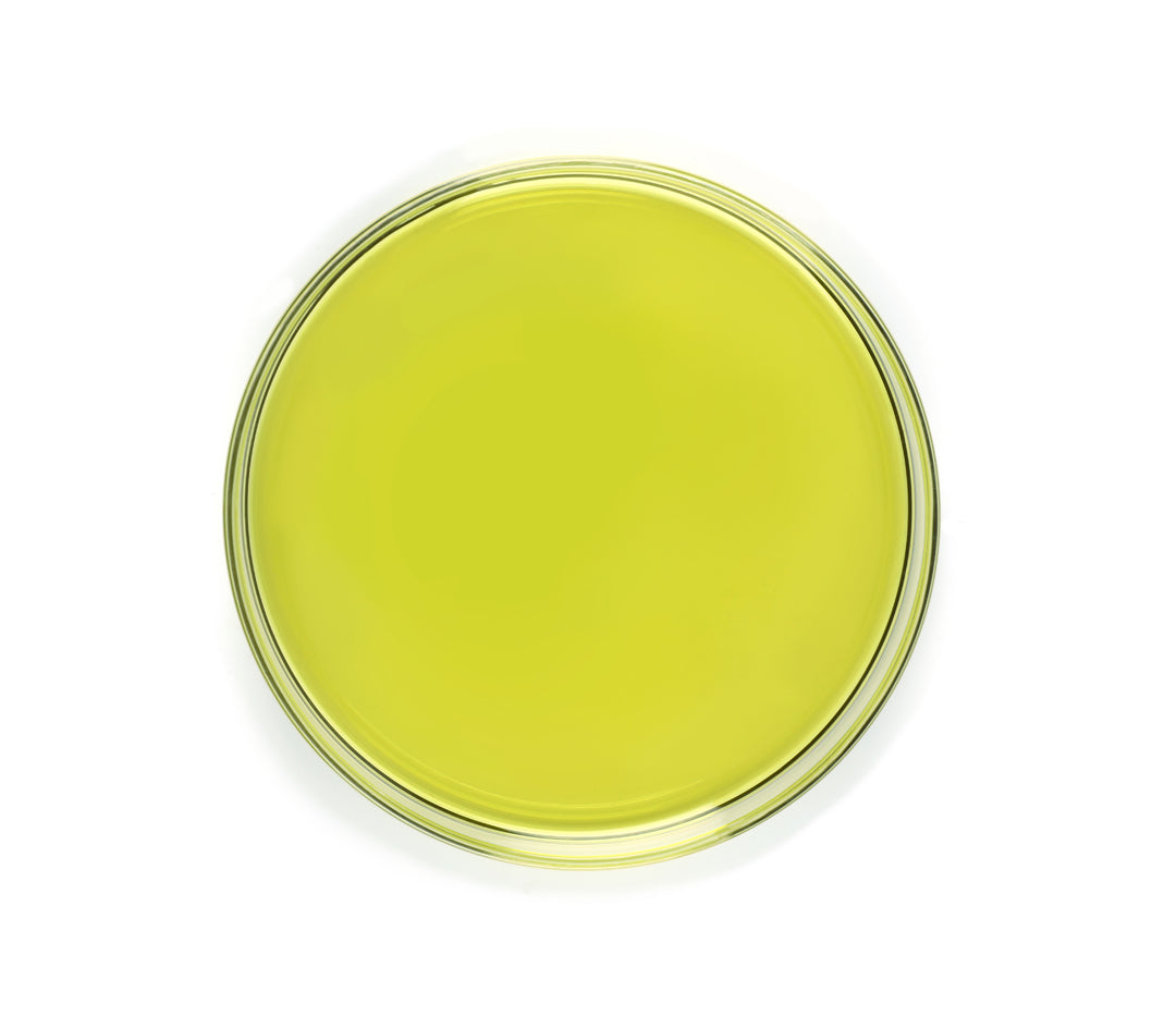 Cold-Pressed Hemp Seed Oil