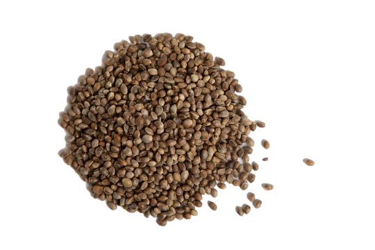 Roasted Hemp Seeds: A Tasty and Nutritious Snack