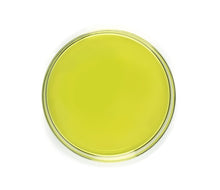 Load image into Gallery viewer, A petri dish of virgin hemp seed oil, showing a light green hue.
