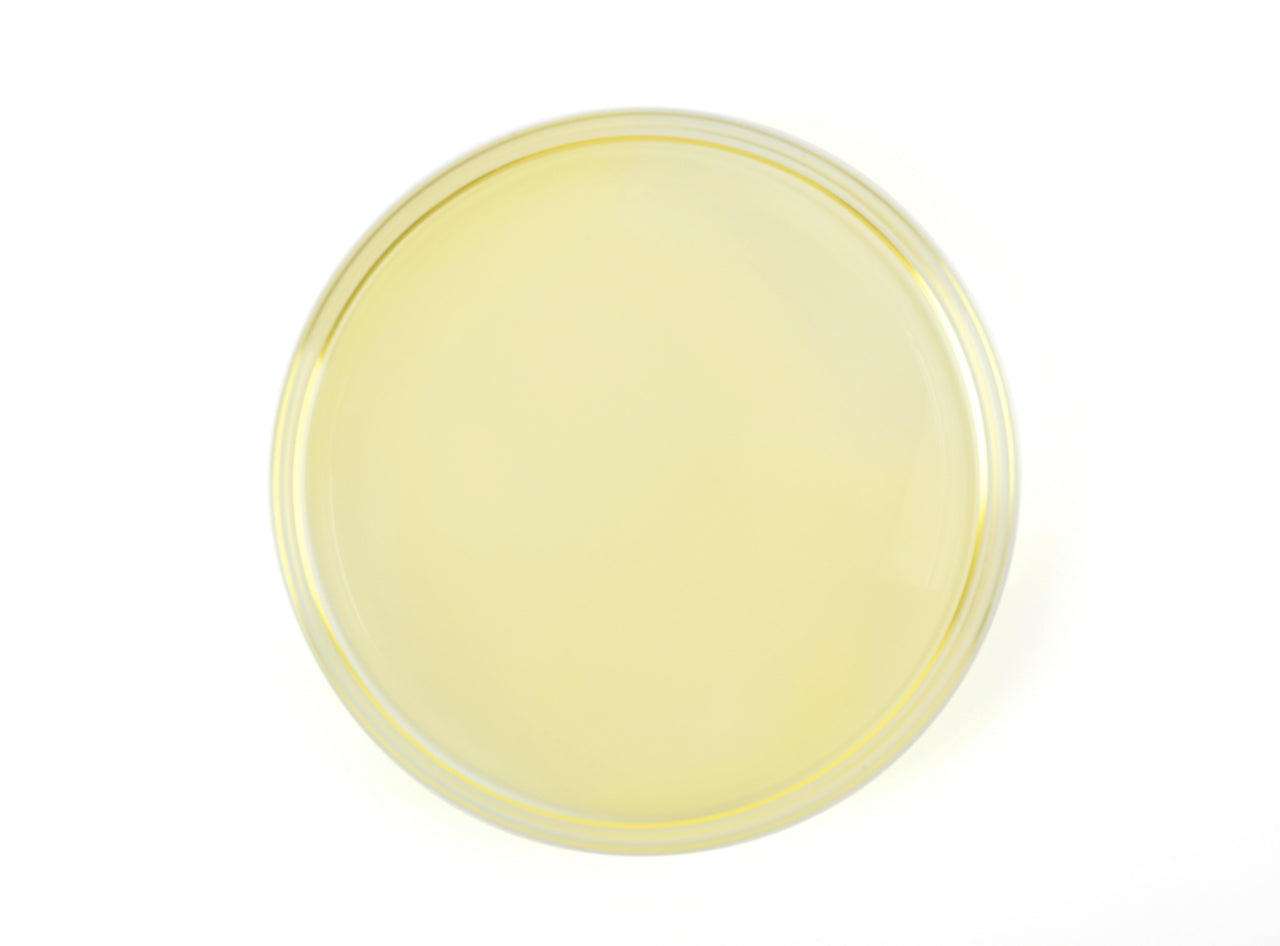 A petri dish showing refined hemp seed oil, with a completely clear color