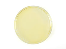 Load image into Gallery viewer, A petri dish showing refined hemp seed oil, with a completely clear color
