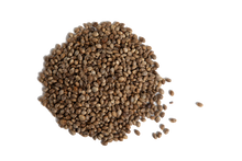 Load image into Gallery viewer, a pile of whole hemp seeds which have been roasted
